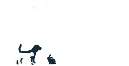 Mt Eliza Village Vet