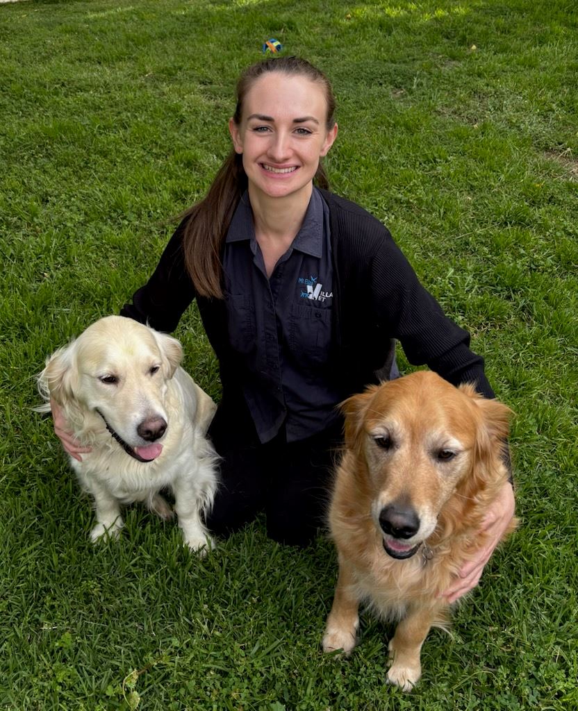 Dr Beth Metcalfe