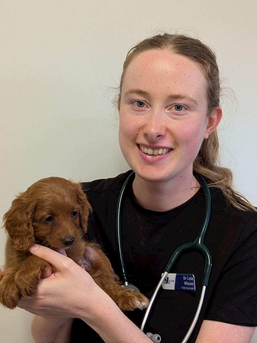 Dr Lyla Wilson