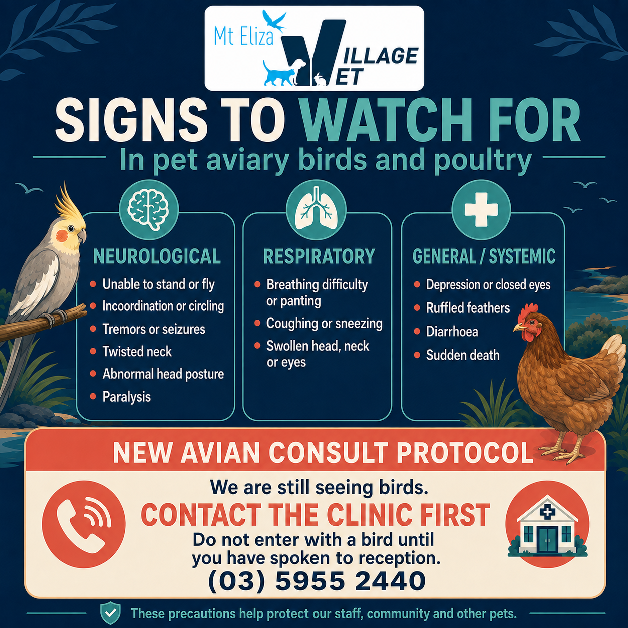 Signs to watch for in pet aviary birds and poultry: neurological, respiratory and general signs of bird flu, and our new avian consult protocol. Contact the clinic first on (03) 5955 2440 and do not enter with a bird until you have spoken to reception.